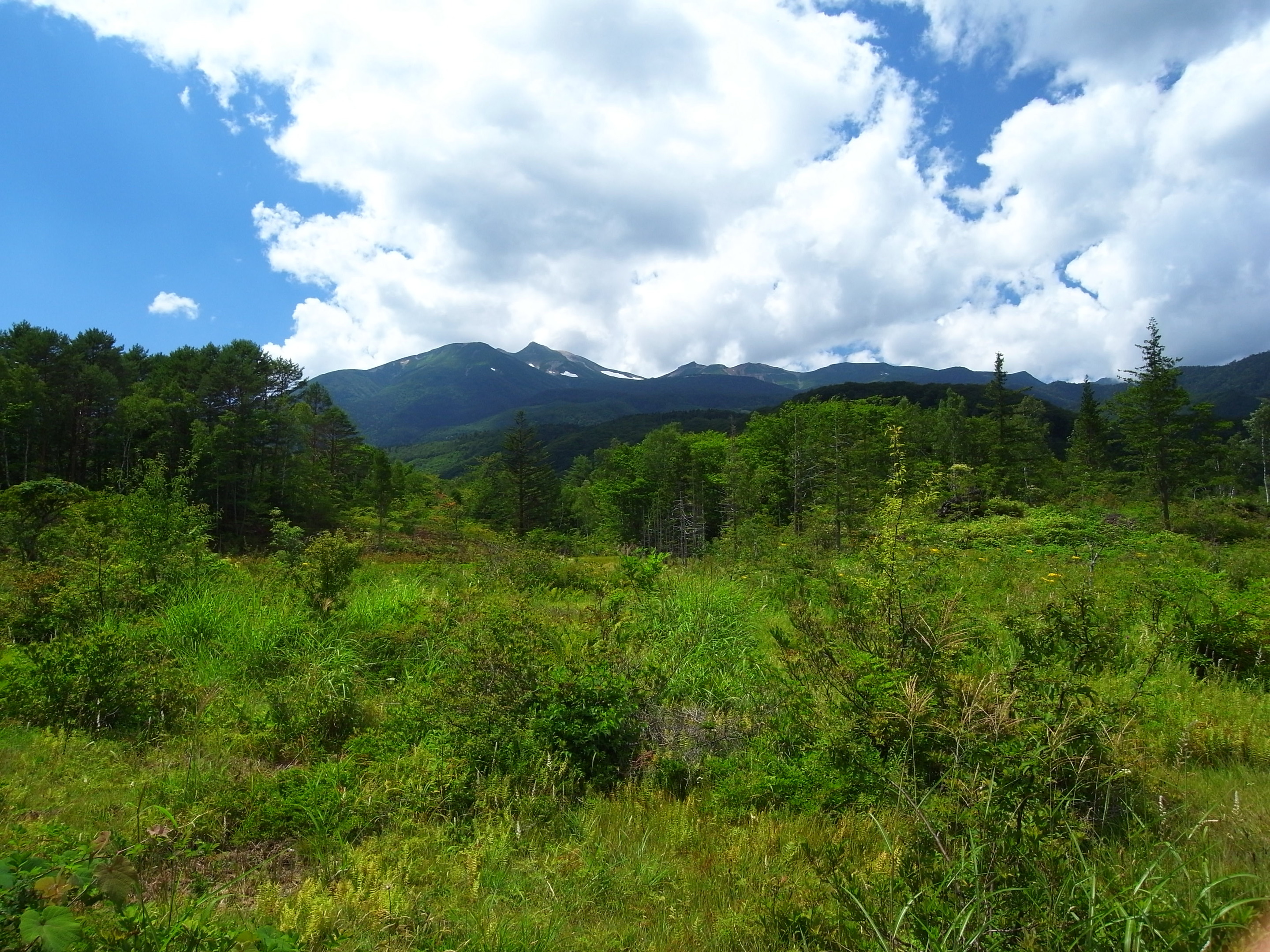 穂高連峰