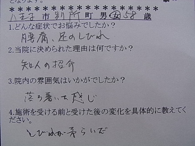 voice22