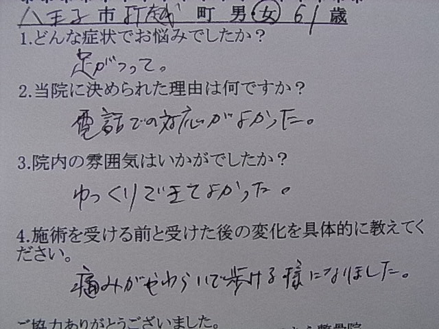 voice24